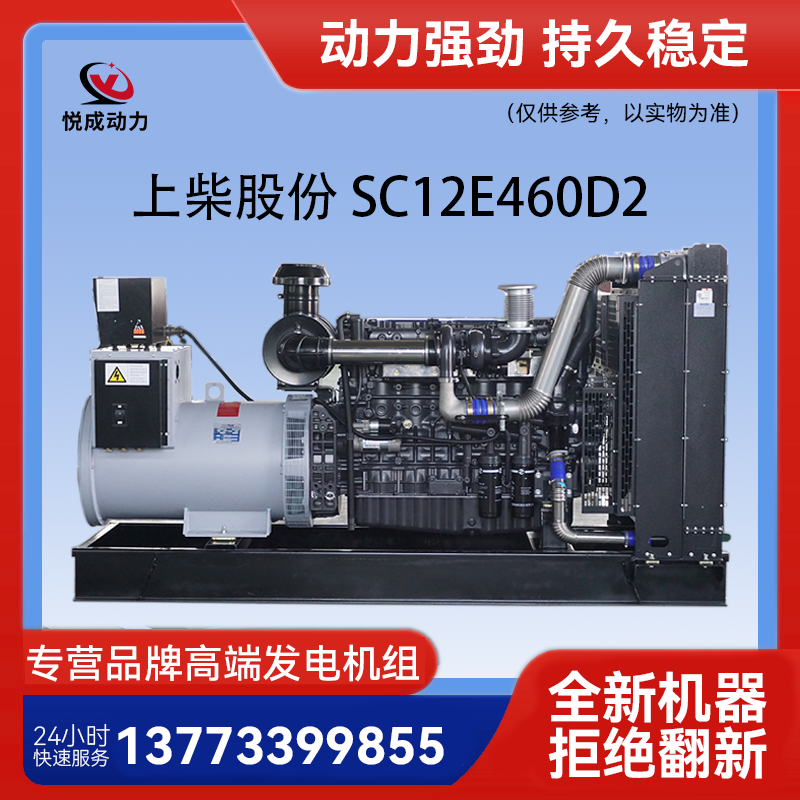 浙江客户订购上柴股份250KW柴油发电机组,调试合格顺利发货
